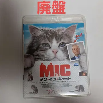 멘 인 캣 (16년 프랑스/중국) Blu-ray