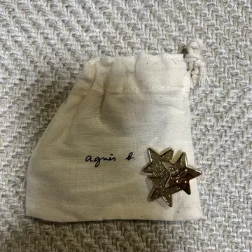 에네스베 별 모양 골드 핀 배지