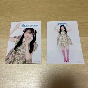 후르츠 지퍼 애니메이트 브로마이드 마츠모토 2