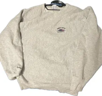 챔피온 리버스 위브 Champion