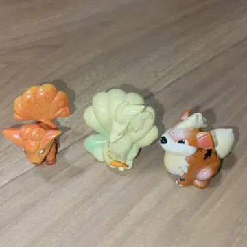 레어! [ 초기 ] 몽코레 로콘 큐콘 가디