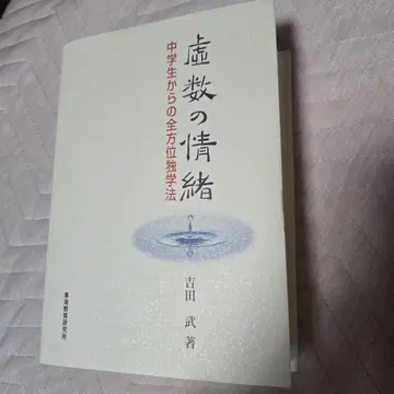 허수의 정서