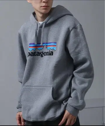 파타고니아 Patagonia P-6 로고 업라이저 후디