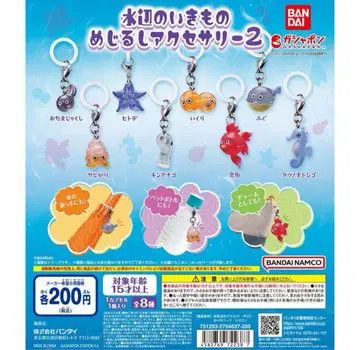 물가의 생물 마스코트 메지루시 2