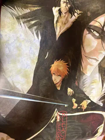 BLEACH 2010 달력