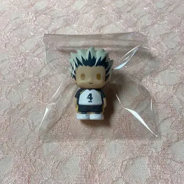 하이큐 보쿠토 코타로