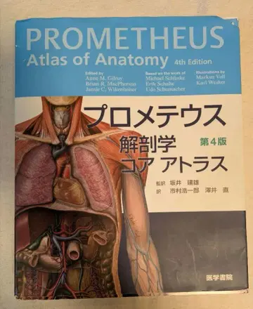프로메테우스 해부학 코어 아틀라스 제4판