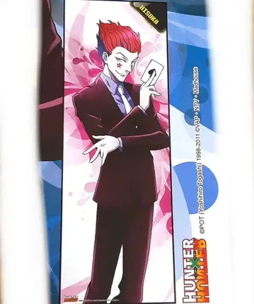 HUNTER x HUNTER 히소카 포스터