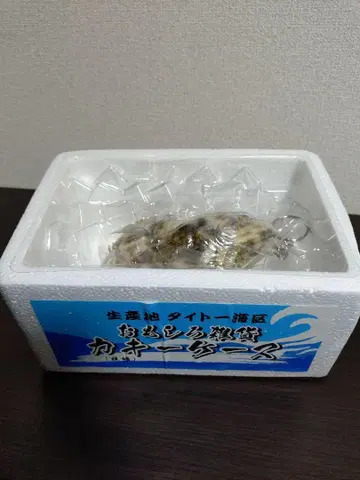 재미있는 잡화 (굴) 카키케이스