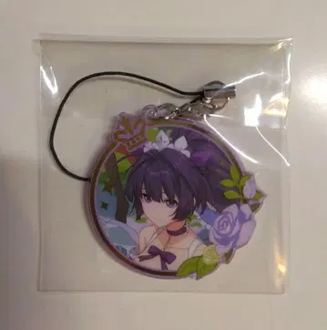 붕괴 3rd 라이덴 메이 키링 기념