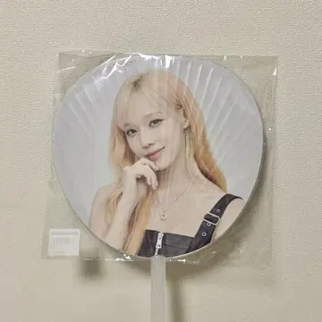 aespa winter 윈터 부채 도쿄돔