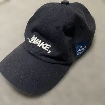 wake Sapporo alwayth 네이비캡