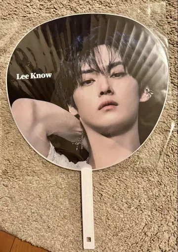 straykids 리노 부채