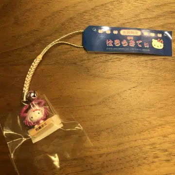 지역 한정 키티 다케자키 게
