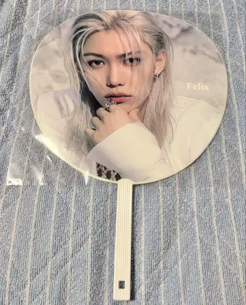 straykids 필릭스 felix 부채