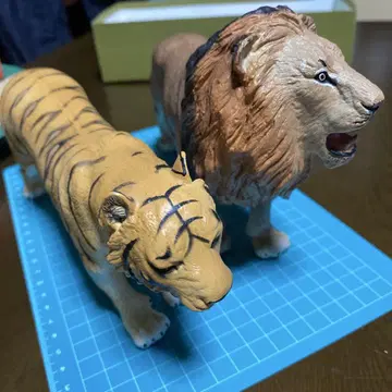 동물 2체