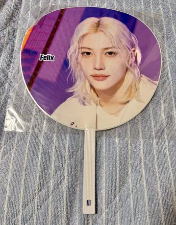 straykids 필릭스 felix 부채