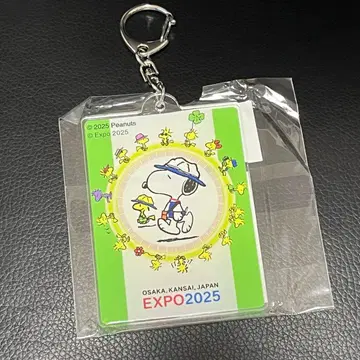 간사이 엑스포 스누피 대형 지붕 반지 키링