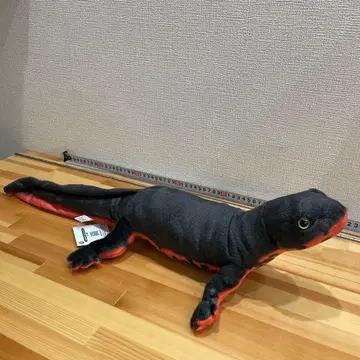 붉은배도롱뇽 봉제 인형 약 60cm 블랙과 빨간색
