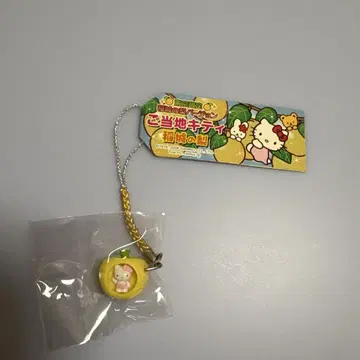 지역 한정 키티 스트랩 이나기 배