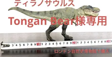 티라노사우루스 스피노사우루스 2체 세트
