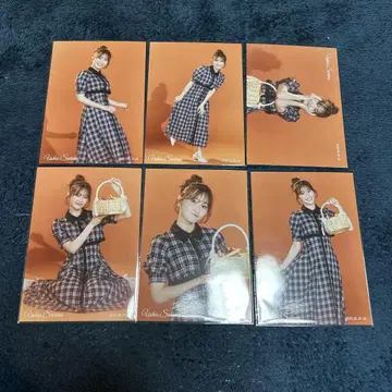 시오 사리나 미사리 브로마이드 컴프