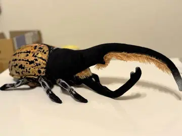 헤라클레스 장수풍뎅이