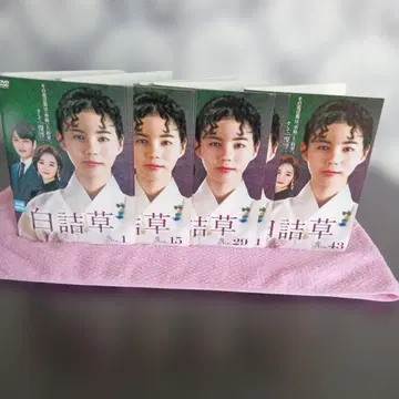 한국 dvd 백일홍 43장