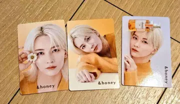 SEVENTEEN 정한 &honey 트레이딩 카드 3장 세트