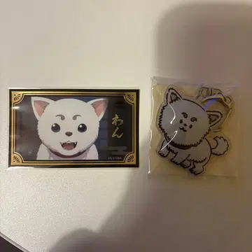은혼 사다하루 묶음 판매
