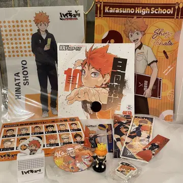 히나타 쇼요 하이큐!! 굿즈 세트