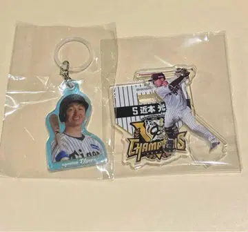 한신 타이거즈 기념 복권 치카모토 코지 메지루시 참