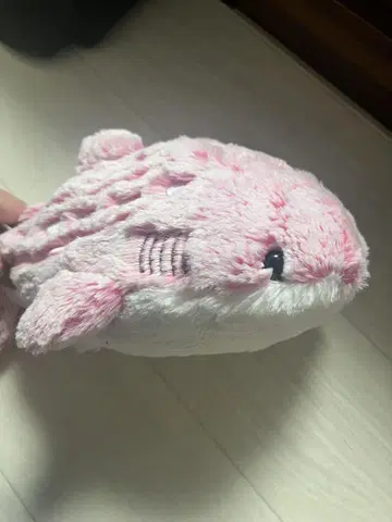 오키나와 추라우미 수족관 진베이 상어 봉제 인형 핑크 약 20cm