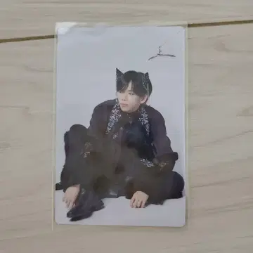 초특급 NINELIVES 트레이딩 카드 료가