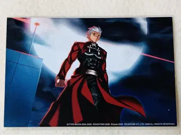 fate stay nigit 언리미티드 코드 아처 포스카