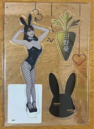 타노 유우 FANZA 복권 3주년 기념 C-1 아크릴 스탠드