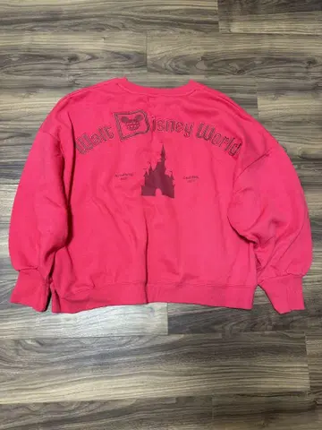 디즈니 스피릿 저지 WDW