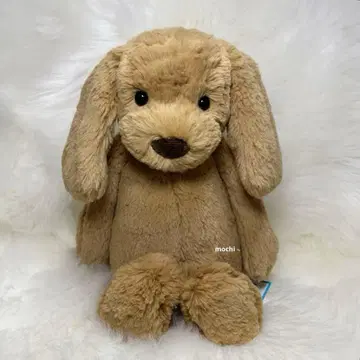 jellycat Bashful Toffee Puppy 강아지 봉제 인형