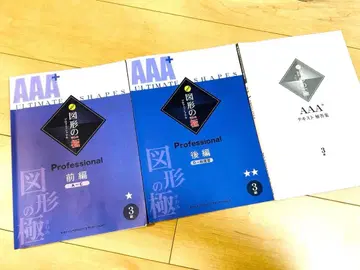 타마이식 프로페셔널 [도형의 극] 3급