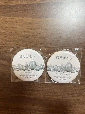 [최종일 한정판] 오사카 엑스포 전력관 감사 메시지 마그넷 2개 세트