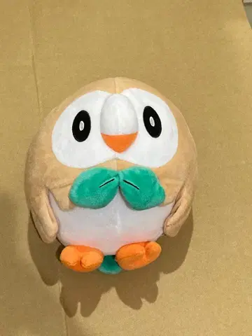 나몰빼미 봉제 인형 포켓몬 센터