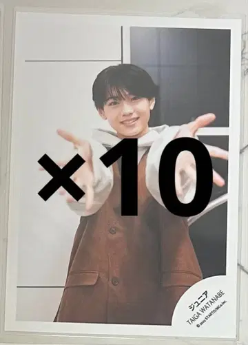 와타나베 타이거 공식 사진 10장