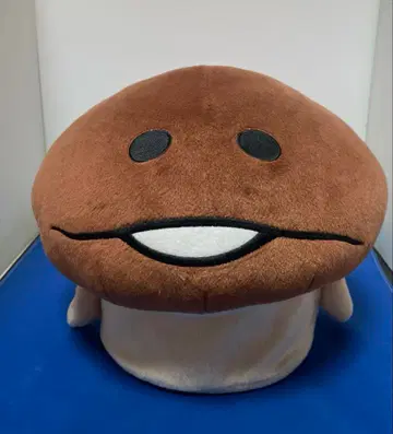 만지면 탐정 버섯 재배 키트 좌식 의자