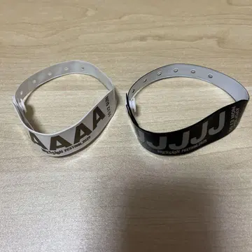 WESSION 2025 리스트 밴드 2일분