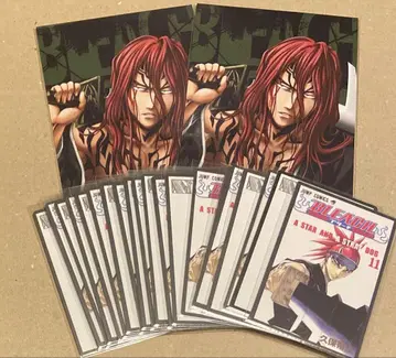 BLEACH 아산이 렌지 골패 10장 브로마이드