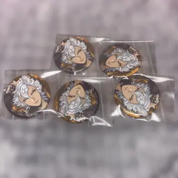 트위스테 브레이징 주얼 핀 배지 5개 세트 잭