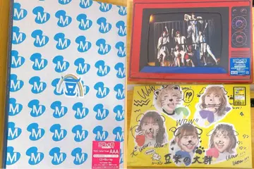 마메시바노타이군 CD 앨범 3종 세트