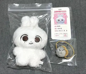 SEVENTEEN 정한 봉제 인형 마스터 10cm