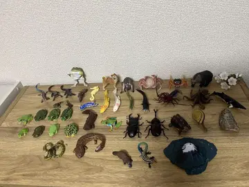 네이처 테크니컬러 세트