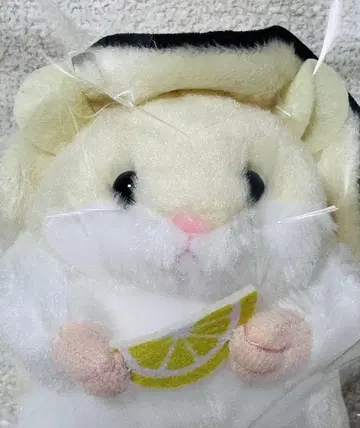 지역 햄스터 굴 봉제 인형
